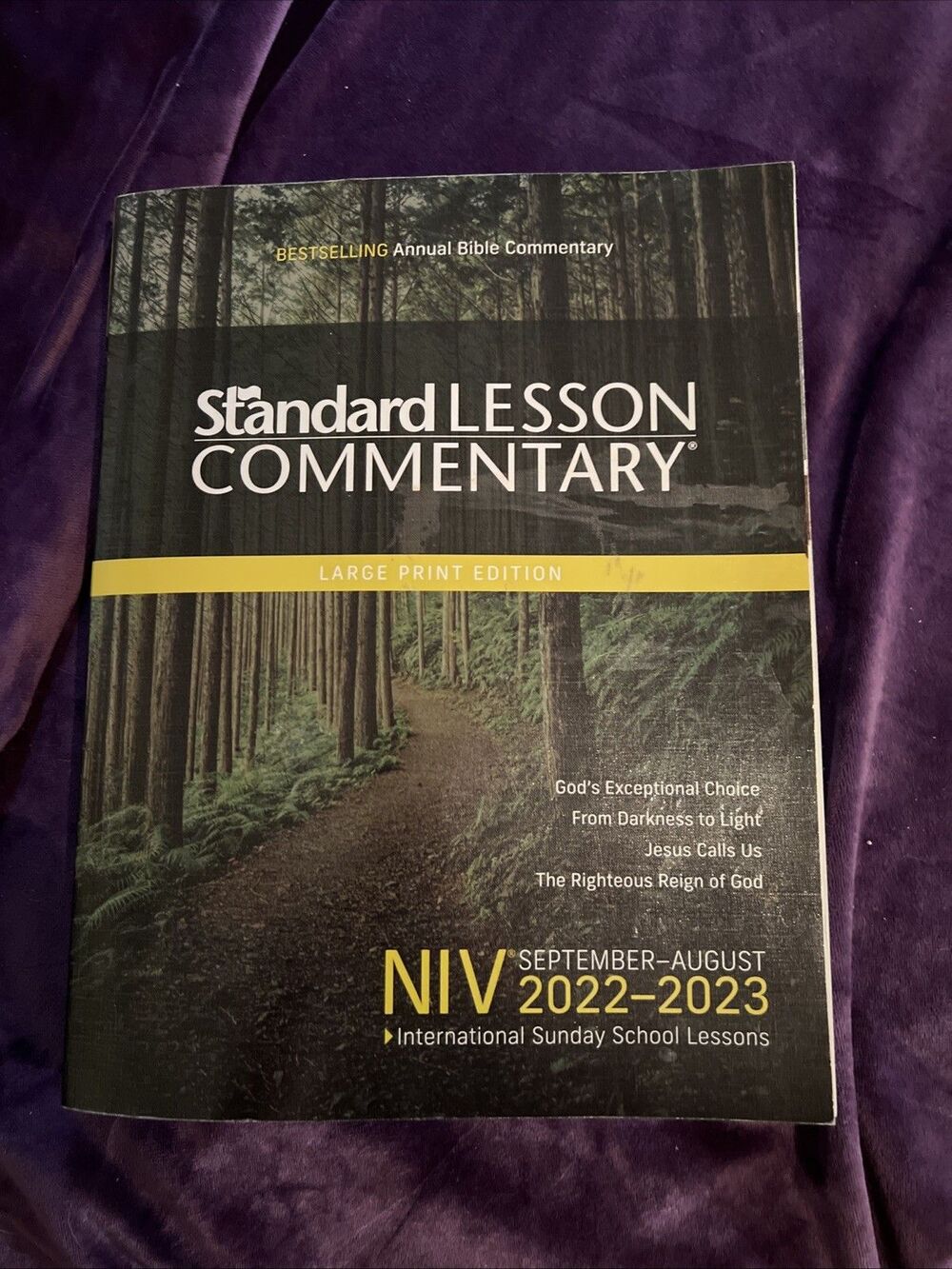 Standard Lesson Comm Ser.: NIV® Standard Lesson Commentary® Large Print Edition
